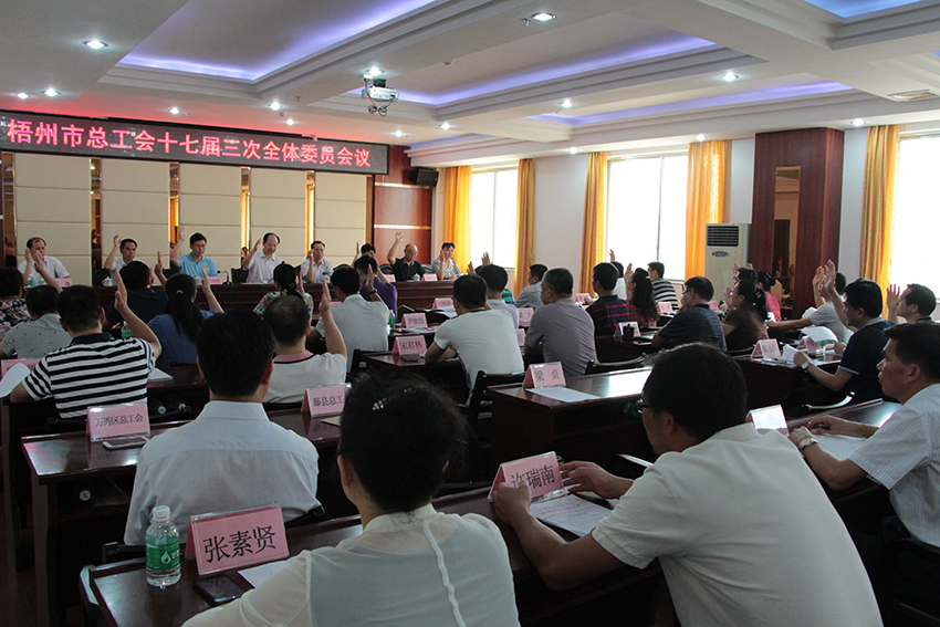 梧州市總召開十七屆三次全體委員會(huì)議(圖文)