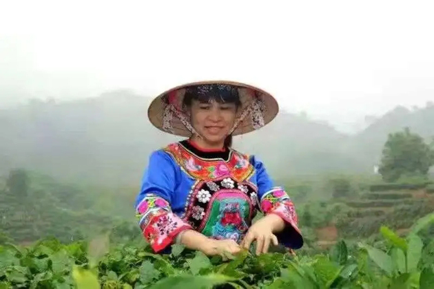 【梧州工匠】劉錦芳：鉆研和創(chuàng)新，帶領(lǐng)鄉(xiāng)親發(fā)家致富