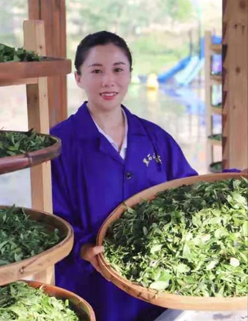 【梧州工匠】石濡菲：擇一茶，修一技，終一生