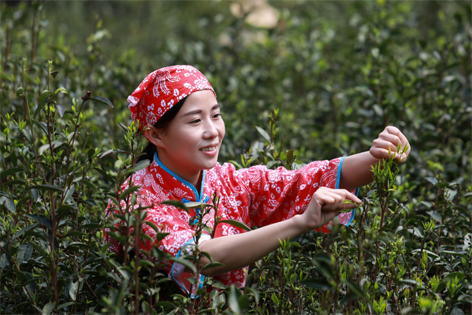 2022年“全國十佳農(nóng)民”揭曉 全國勞模石濡菲上榜！