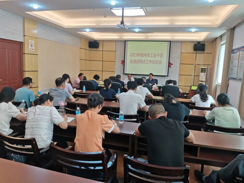 梧州市總工會召開2023年梧州市工會干部赴基層蹲點(diǎn)工作動員會