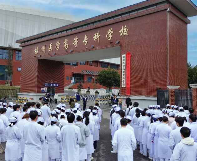 搭建職工成長(zhǎng)成才平臺(tái)丨梧州市總工會(huì)2025年新增3家市級(jí)工匠學(xué)校