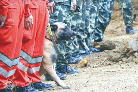 消防、武警、摩托車運輸隊等多方力量聯(lián)合搜救｜東航客機墜毀事故救援現(xiàn)場直擊