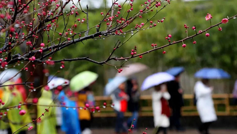 今日雨水！別忘了咱的老講究！