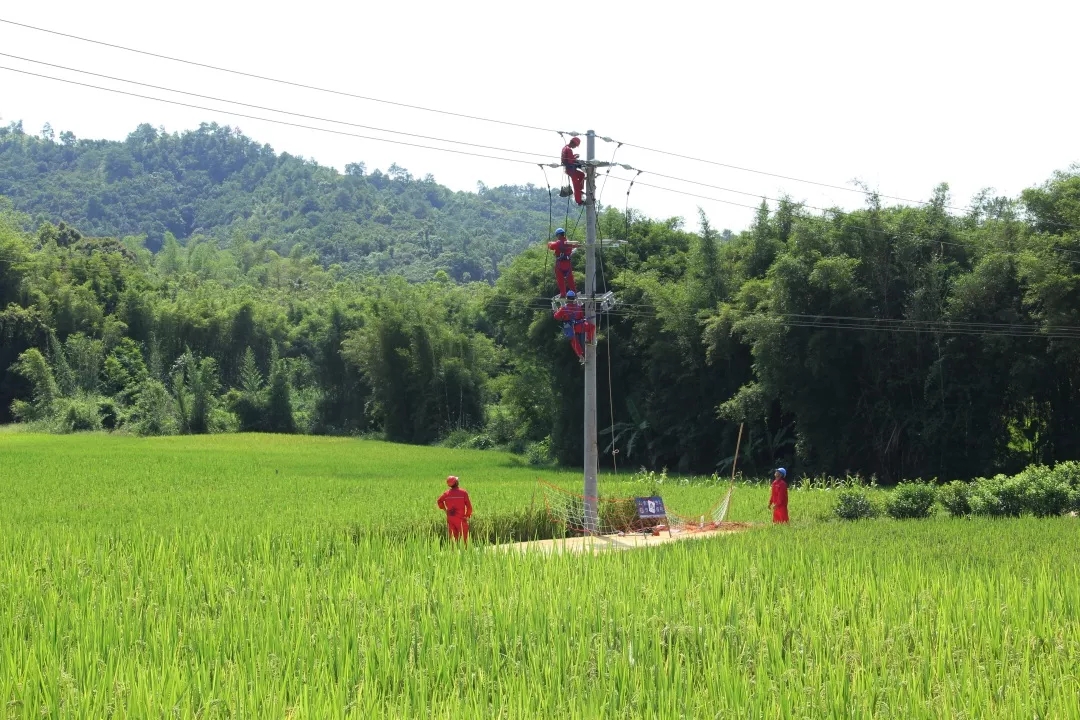  金秋時節(jié) 農網改造施工忙