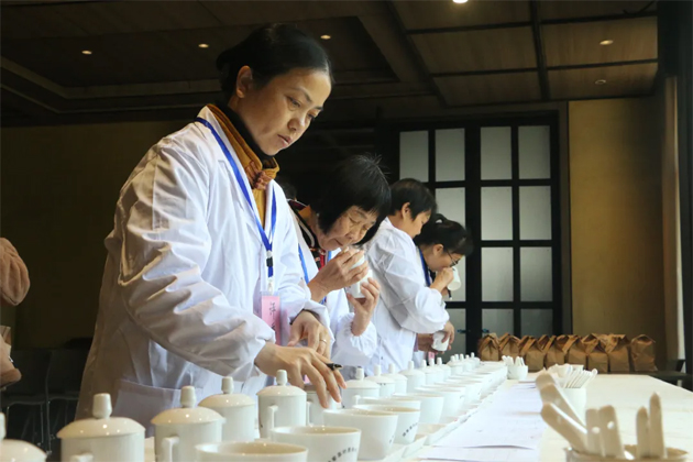 以賽促優(yōu) 以評提質(zhì)——2025年蒼梧縣第一屆傳統(tǒng)工藝六堡茶評比大賽圓滿落幕